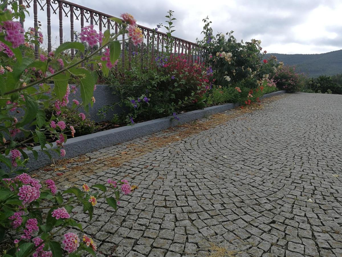 Abrigo Das Andorinhas อาเวโร ภายนอก รูปภาพ