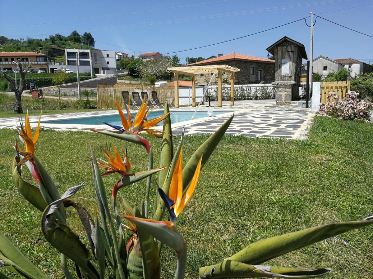 Abrigo Das Andorinhas อาเวโร ภายนอก รูปภาพ